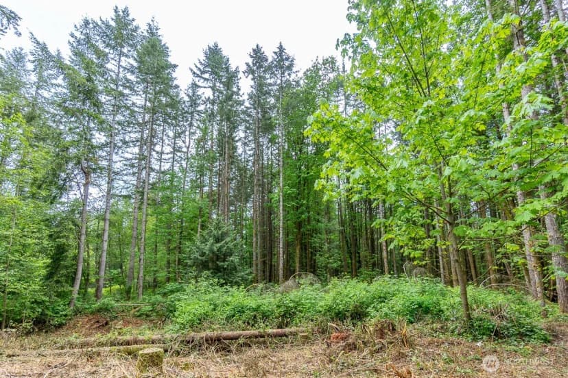Property photo for 3804 129th Place Nw, Tulalip photo 10