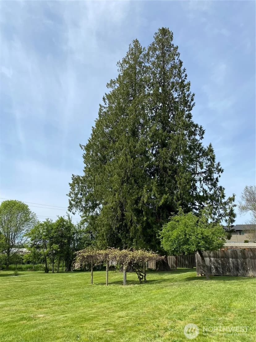 Property photo for 11310 Bingham Avenue E, Tacoma photo 12