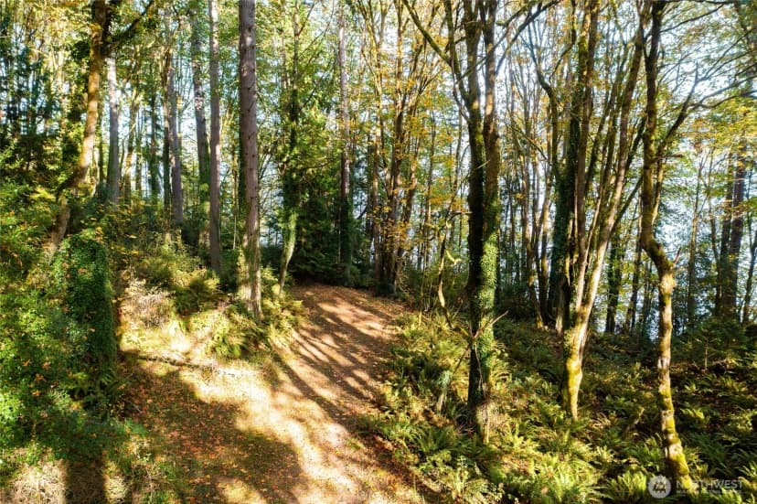 Property photo for 12511 Hallstrom Dr Nw Drive Nw, Gig Harbor photo 9