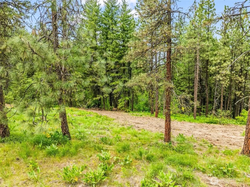 Property photo for 981 Nighthawk Ridge Lane, Leavenworth photo 36