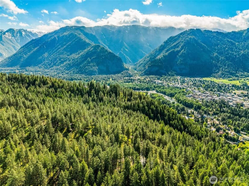 Property photo for 981 Nighthawk Ridge Lane, Leavenworth photo 33