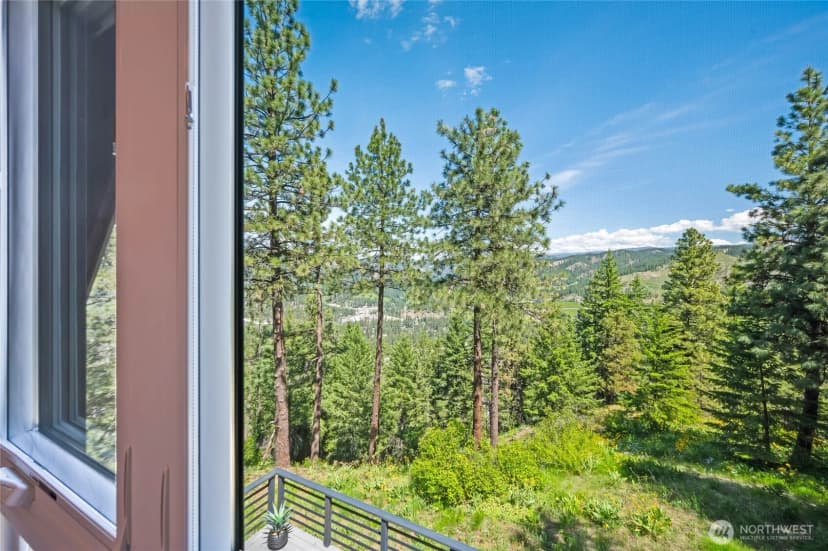Property photo for 981 Nighthawk Ridge Lane, Leavenworth photo 25