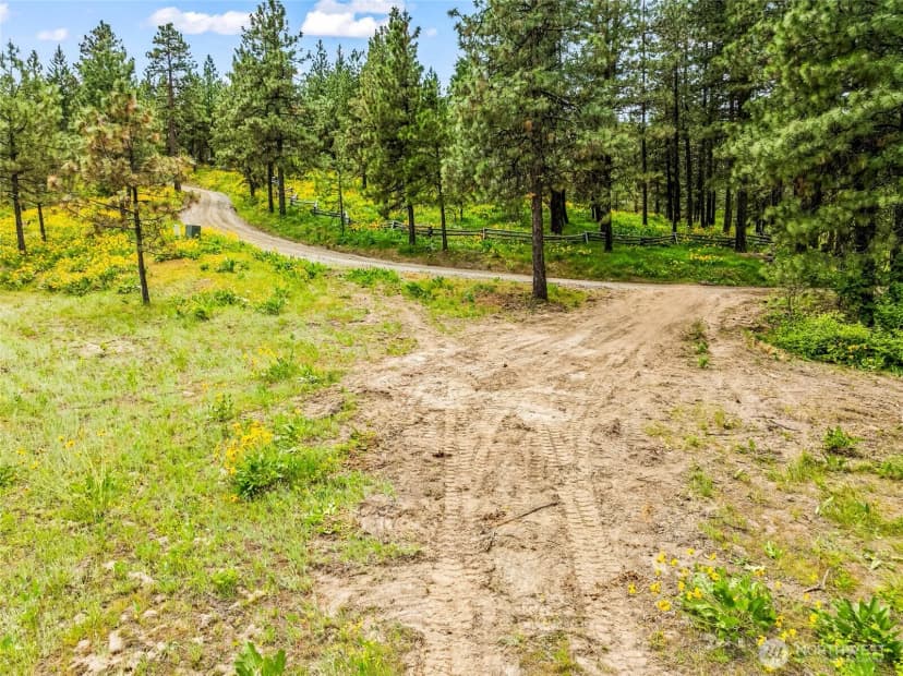 Property photo for 981 Nighthawk Ridge Lane, Leavenworth photo 37
