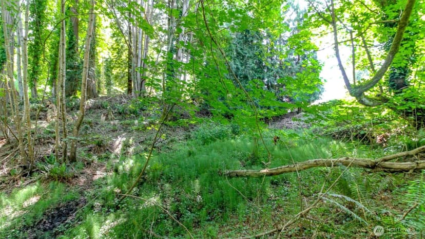Property photo for 44 Raft Island Drive Nw, Gig Harbor photo 20