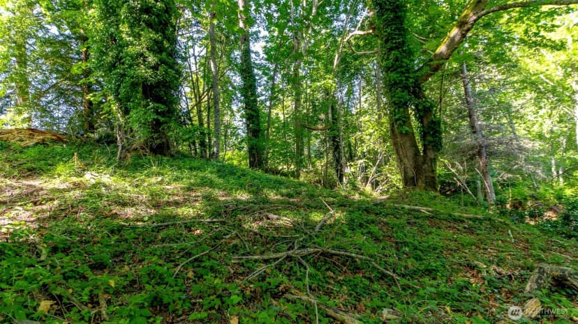 Property photo for 44 Raft Island Drive Nw, Gig Harbor photo 24