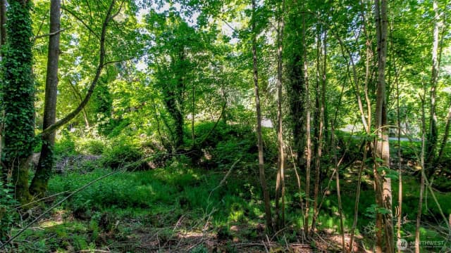 Property photo for 44 Raft Island Drive Nw, Gig Harbor photo 4