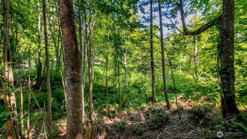 Property photo for 44 Raft Island Drive Nw, Gig Harbor photo 23