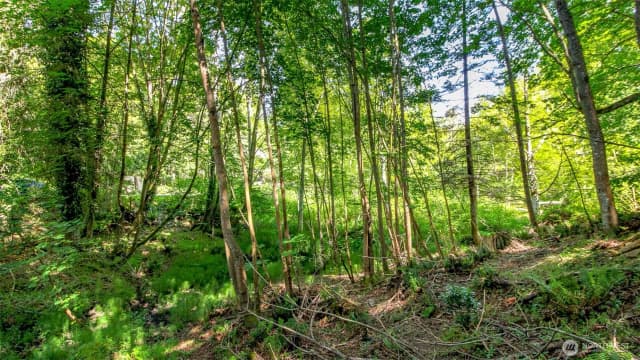 Property photo for 44 Raft Island Drive Nw, Gig Harbor photo 2