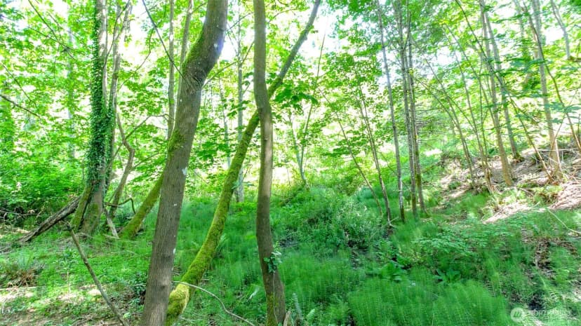 Property photo for 44 Raft Island Drive Nw, Gig Harbor photo 21