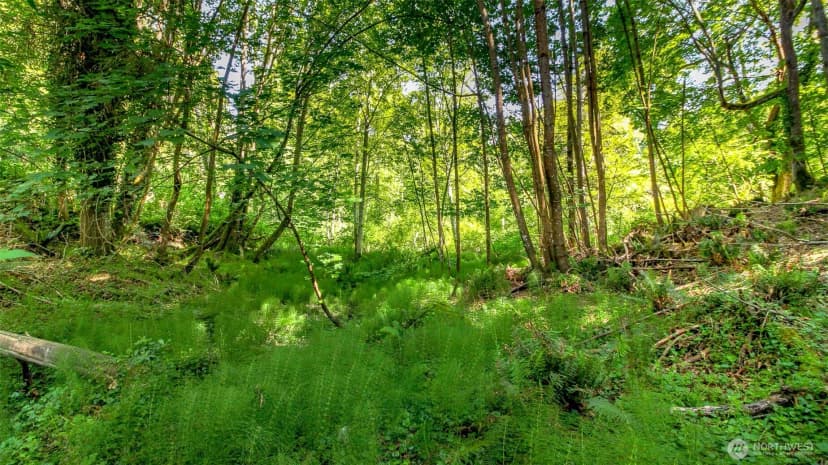 Property photo for 44 Raft Island Drive Nw, Gig Harbor photo 22