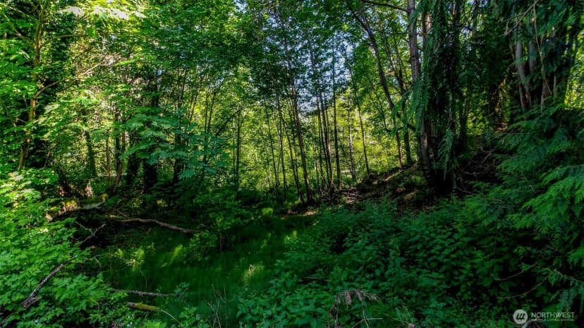 Property photo for 44 Raft Island Drive Nw, Gig Harbor photo 35