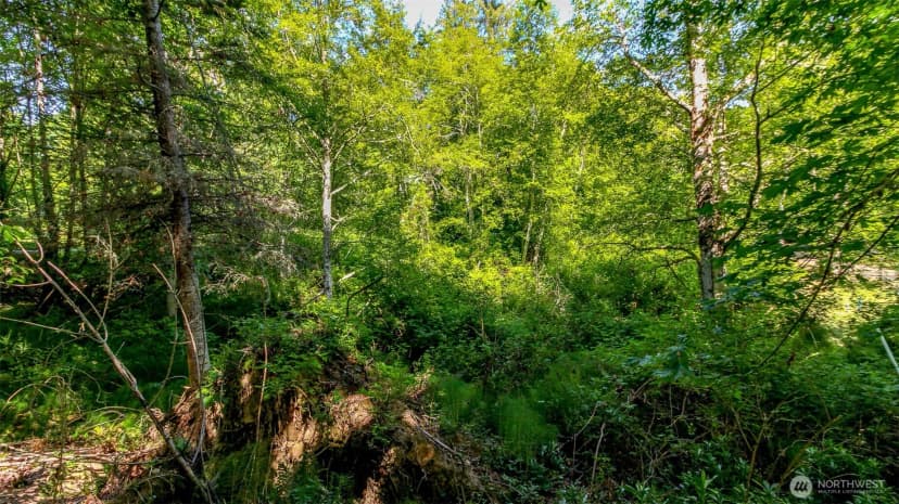 Property photo for 44 Raft Island Drive Nw, Gig Harbor photo 25