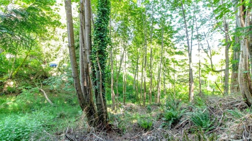 Property photo for 44 Raft Island Drive Nw, Gig Harbor photo 38