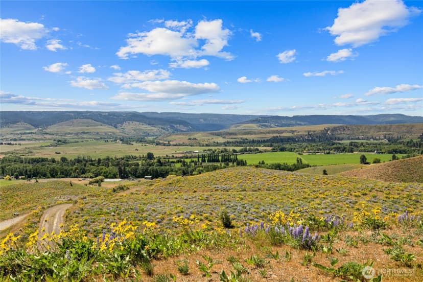 Property photo for 270 Indian Lake Drive, Ellensburg photo 31
