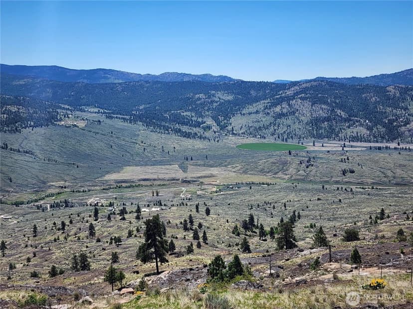 Property photo for 0 Morning Sun Road, Tonasket photo 30