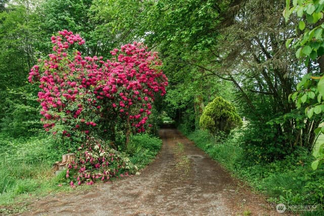 Property photo for 10379 Bethel Burley Road Se, Port Orchard photo 3