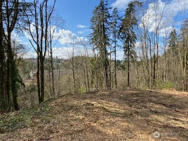 Property photo for 8 Xxx 136th Avenue Se, Newcastle photo 10