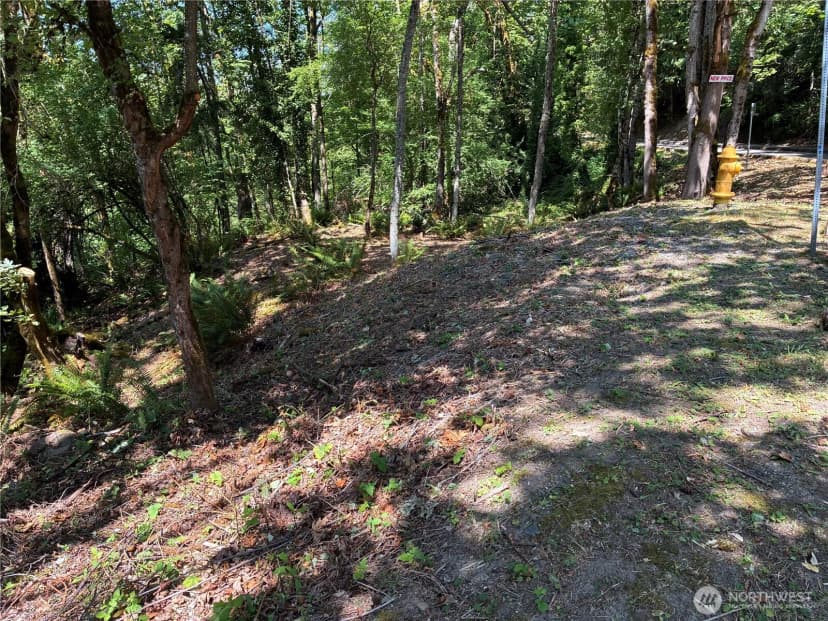 Property photo for 8 Xxx 136th Avenue Se, Newcastle photo 8