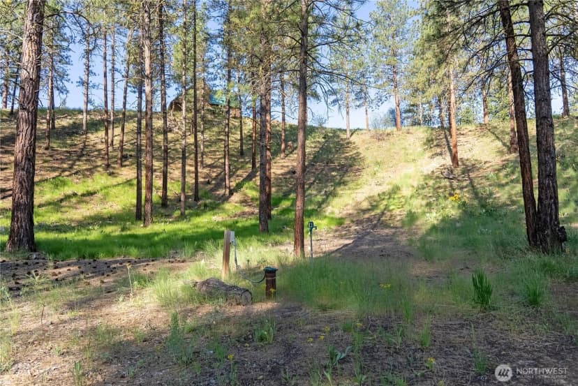 Property photo for 11 Appaloosa Road, Winthrop photo 37