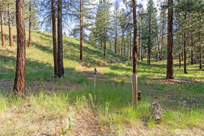 Property photo for 11 Appaloosa Road, Winthrop photo 38