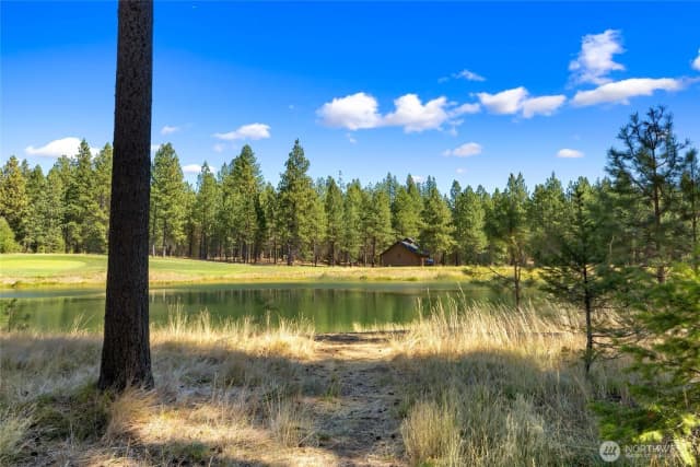 Property photo for 950 Coal Mine Way, Cle Elum photo 4