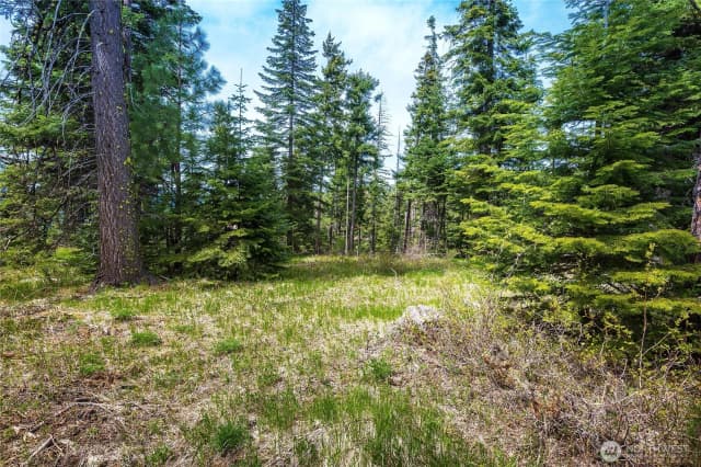 Property photo for 0 Lot J R&r Heights Drive, Roslyn photo 4