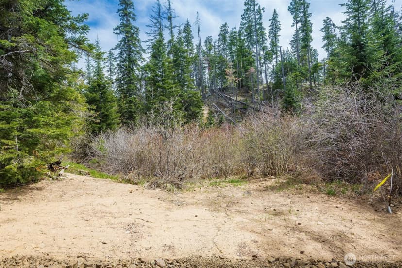 Property photo for 0 Lot J R&r Heights Drive, Roslyn photo 10