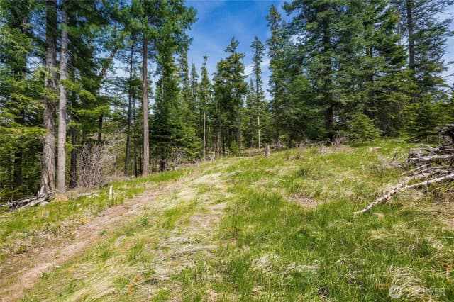 Property photo for 0 Lot J R&r Heights Drive, Roslyn photo 3