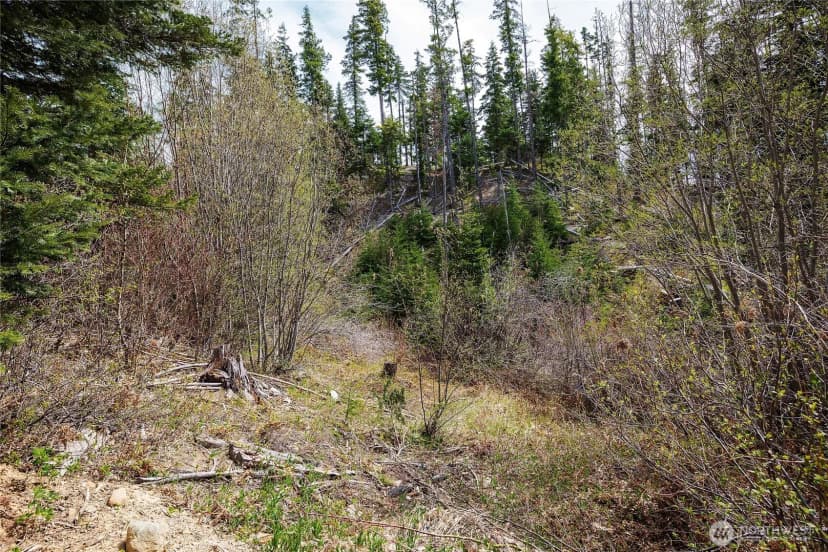 Property photo for 0 Lot J R&r Heights Drive, Roslyn photo 15
