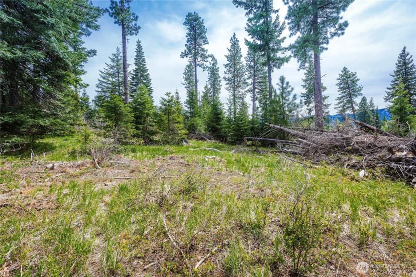 Property photo for 0 Lot J R&r Heights Drive, Roslyn photo 2