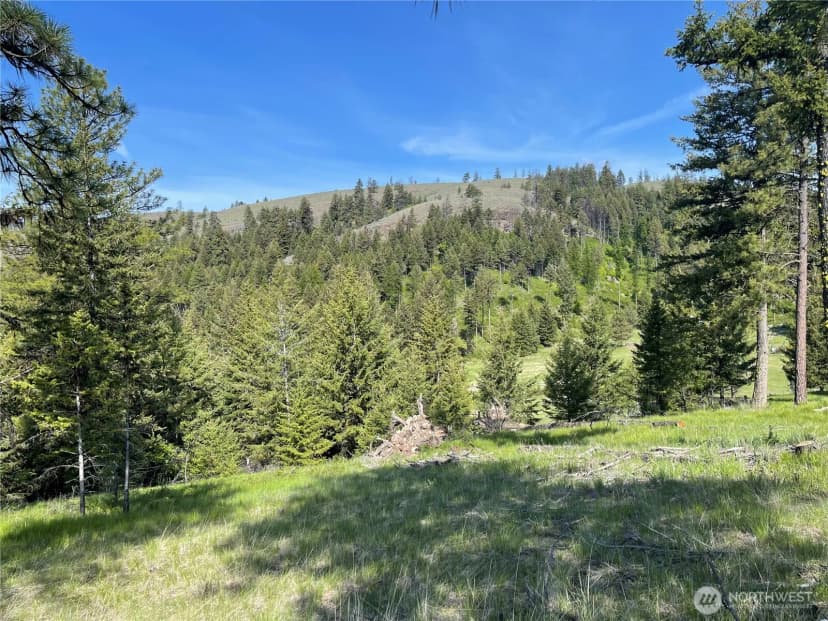 Property photo for 120 Hidden Valley Farms Road, Republic photo 36