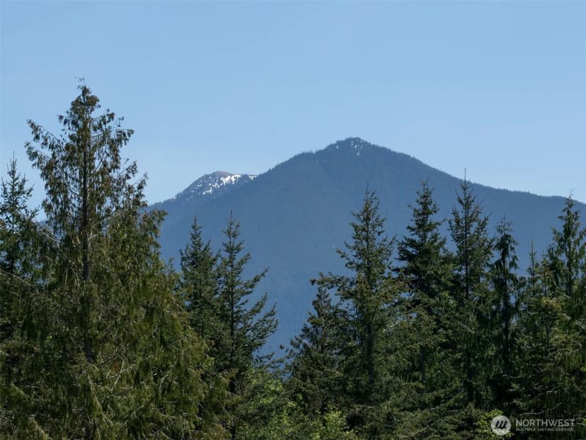 Property photo for 2734 Blue Mountain Rd, Sequim photo 40