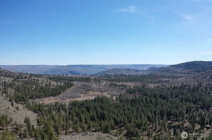 Property photo for 0 Nhn Washington Creek Road, Chelan photo 14