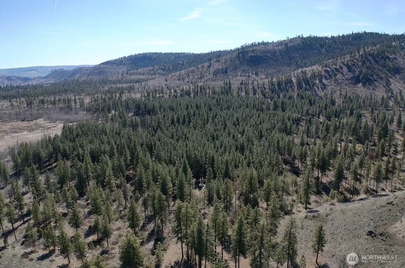 Property photo for 0 Nhn Washington Creek Road, Chelan photo 6