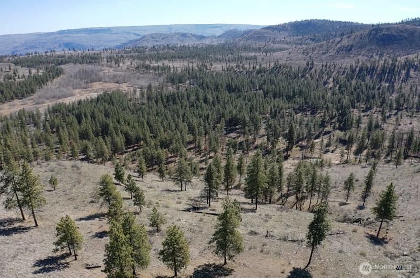 Property photo for 0 Nhn Washington Creek Road, Chelan photo 17