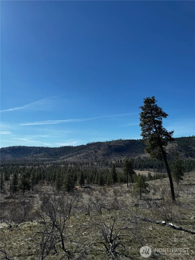 Property photo for 0 Nhn Washington Creek Road, Chelan photo 5