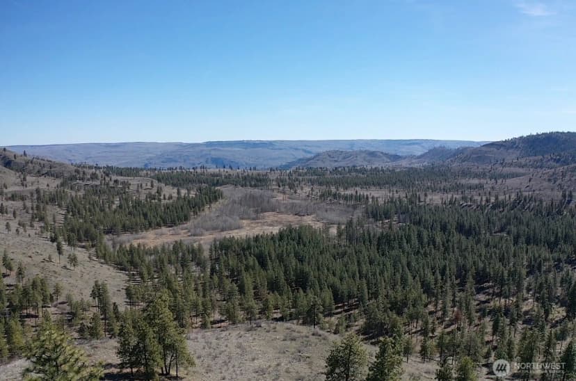 Property photo for 0 Nhn Washington Creek Road, Chelan photo 16