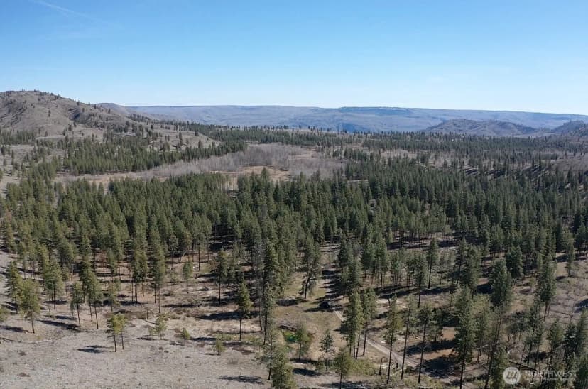 Property photo for 0 Nhn Washington Creek Road, Chelan photo 18