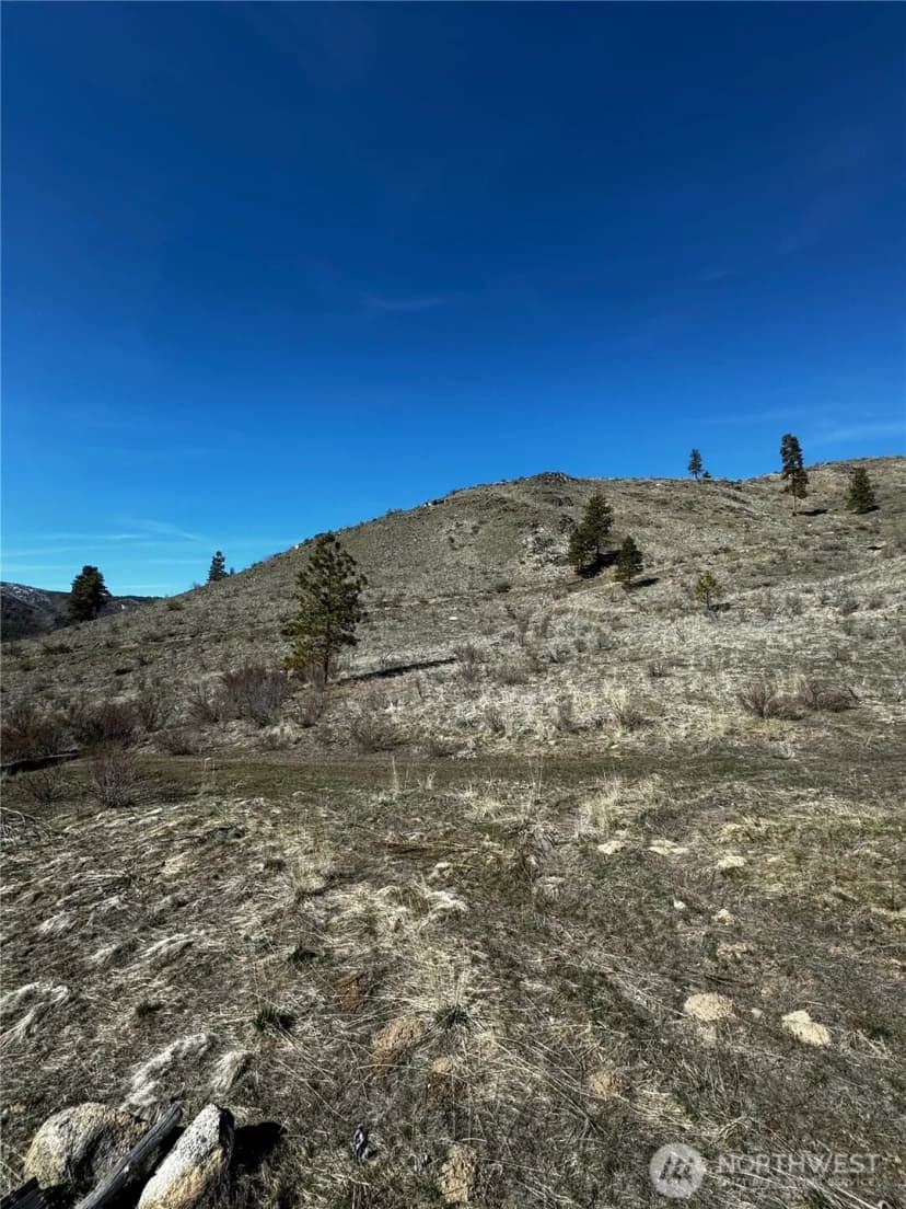 Property photo for 0 Nhn Washington Creek Road, Chelan photo 3