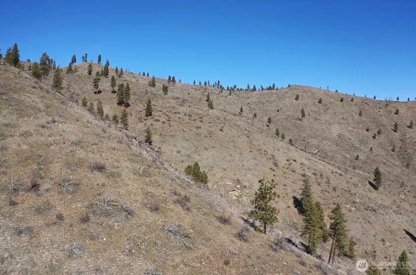 Property photo for 0 Nhn Washington Creek Road, Chelan photo 12