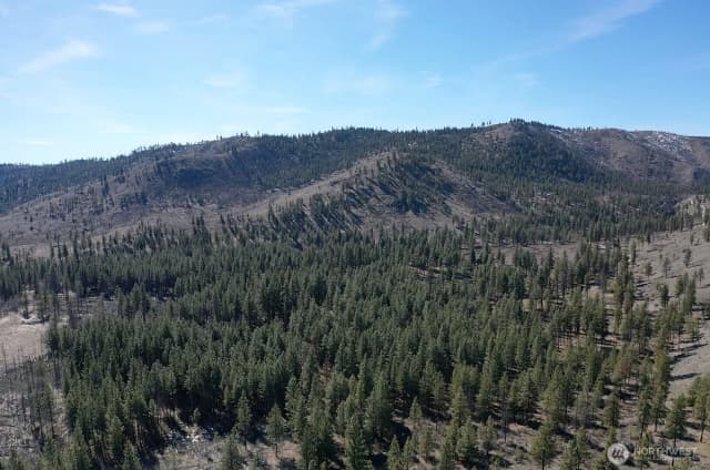 Property photo for 0 Nhn Washington Creek Road, Chelan photo 4