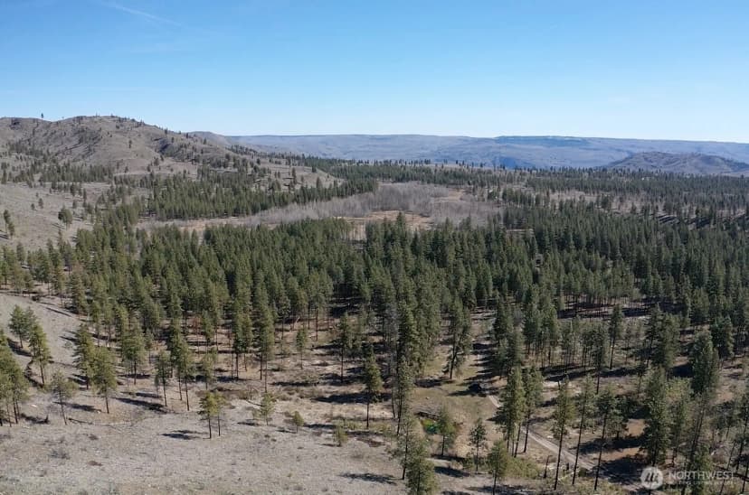 Property photo for 0 Nhn Washington Creek Road, Chelan photo 19