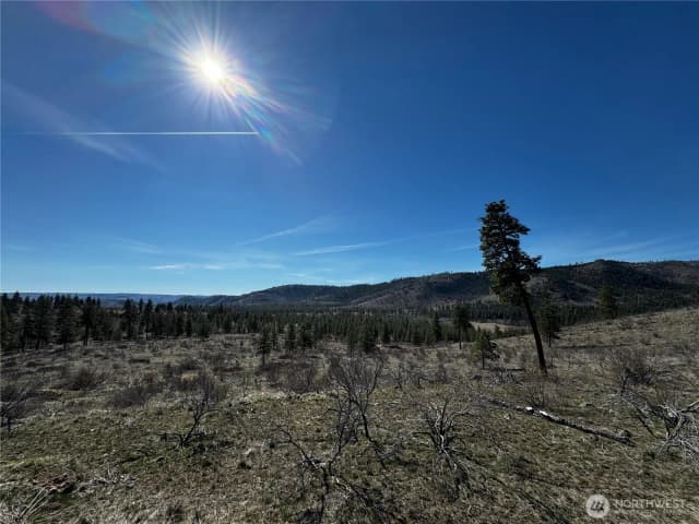 Property photo for 0 Nhn Washington Creek Road, Chelan photo 2