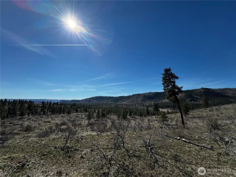 Property photo for 0 Nhn Washington Creek Road, Chelan photo 2