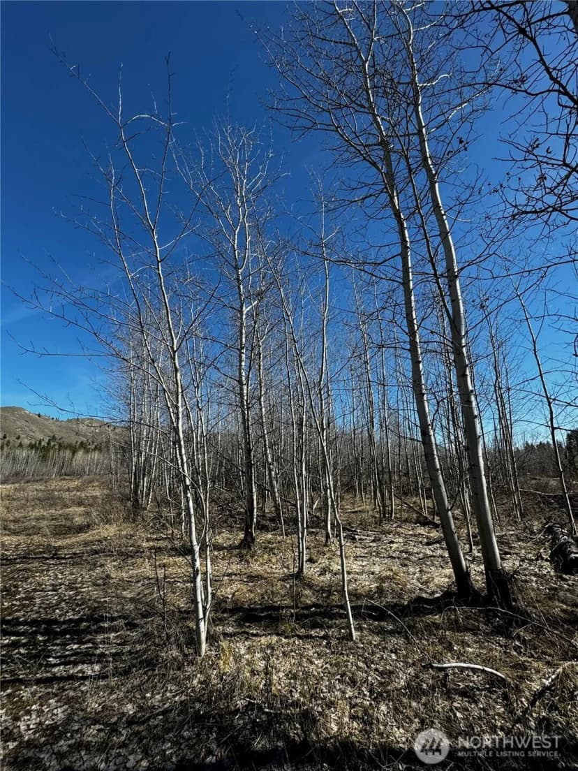 Property photo for 0 Nhn Washington Creek Road, Chelan photo 9