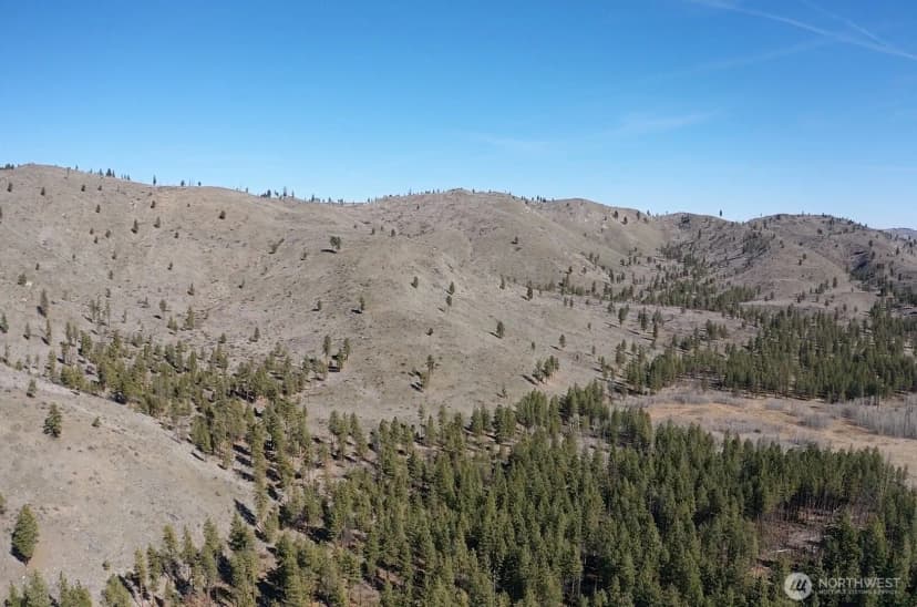Property photo for 0 Nhn Washington Creek Road, Chelan photo 10