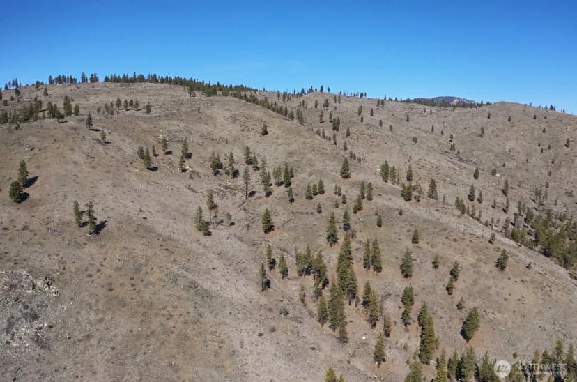 Property photo for 0 Nhn Washington Creek Road, Chelan photo 11