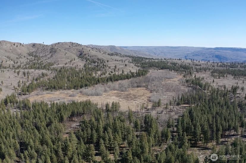 Property photo for 0 Nhn Washington Creek Road, Chelan photo 8