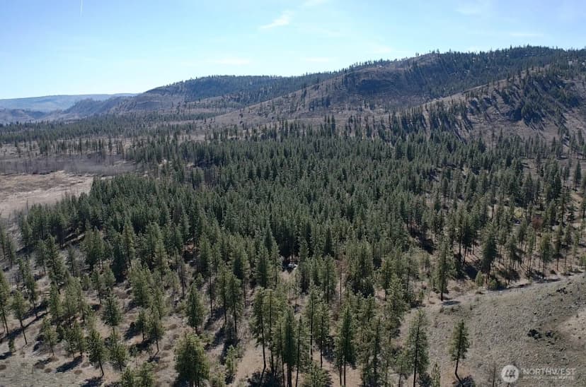 Property photo for 0 Nhn Washington Creek Road, Chelan