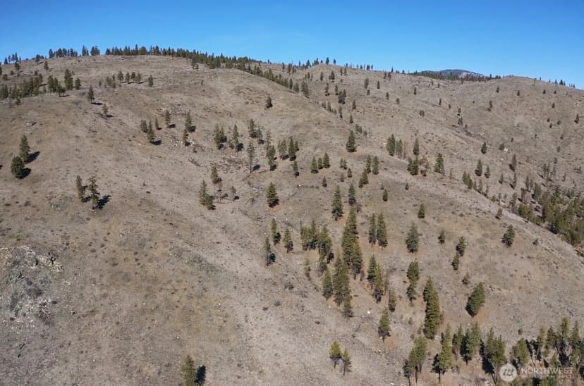 Property photo for 0 Nhn Washington Creek Road, Chelan photo 13